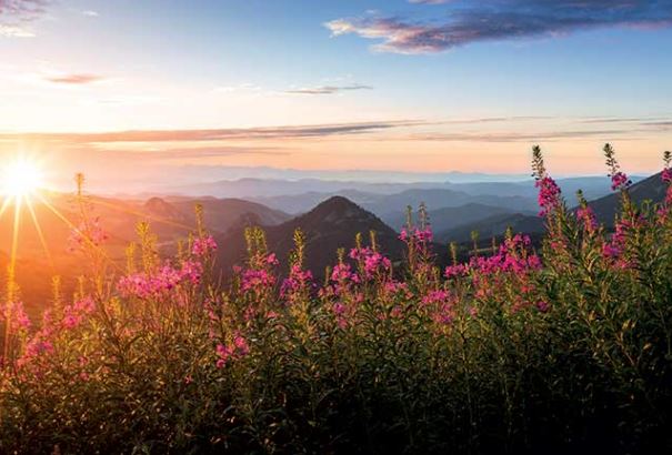 Un week-end en Auvergne