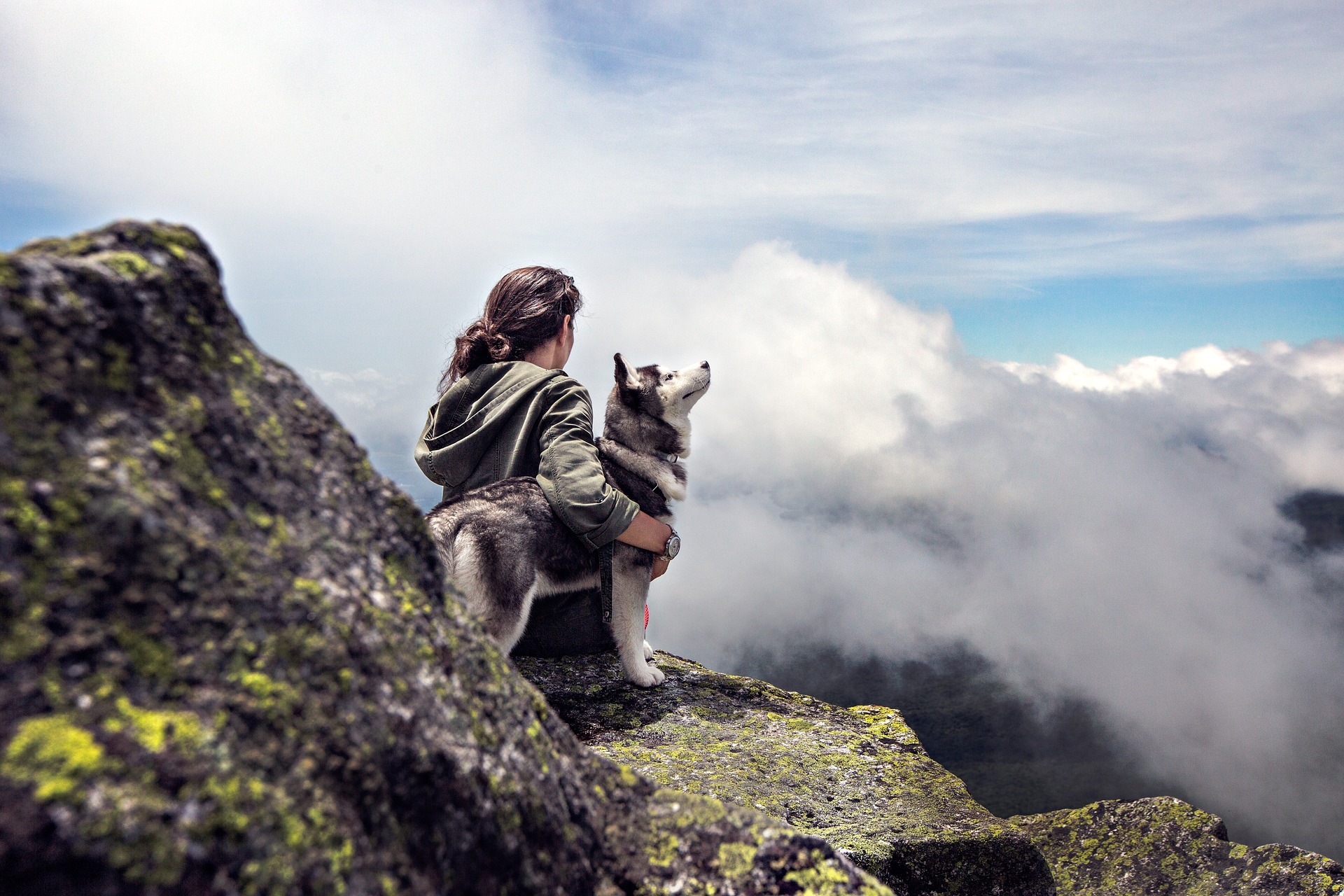 Partir en week-end avec son animal de compagnie