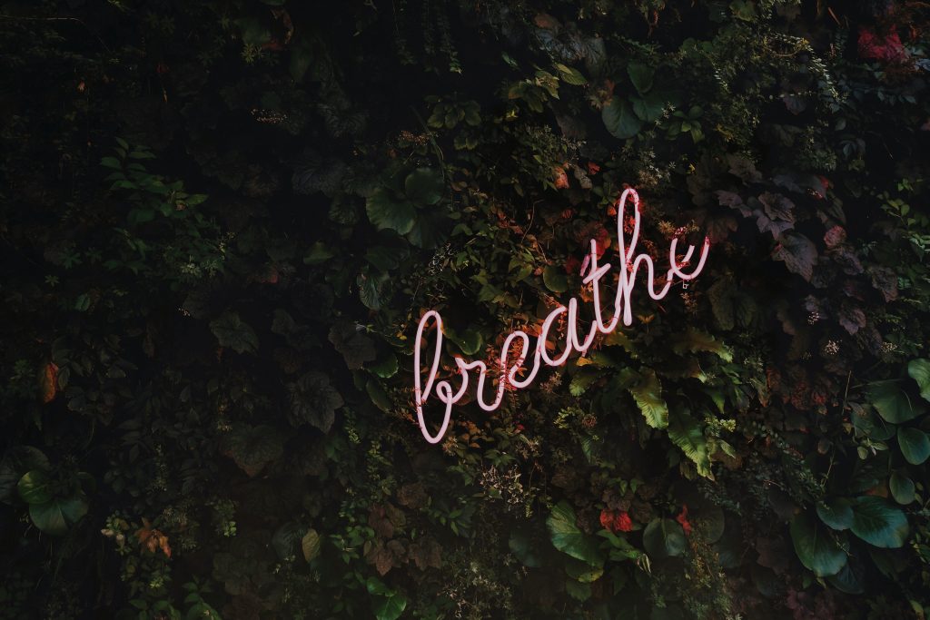 Le mot breath en néon sur un mur végétal