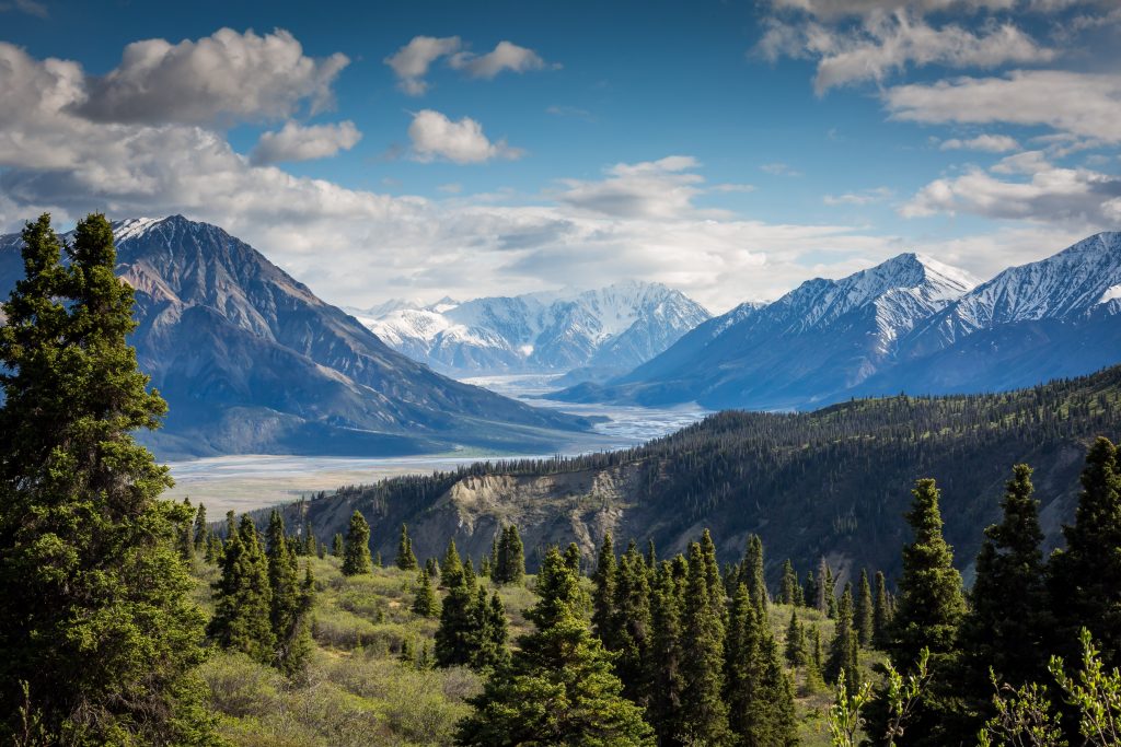 Paysage de montagne en été