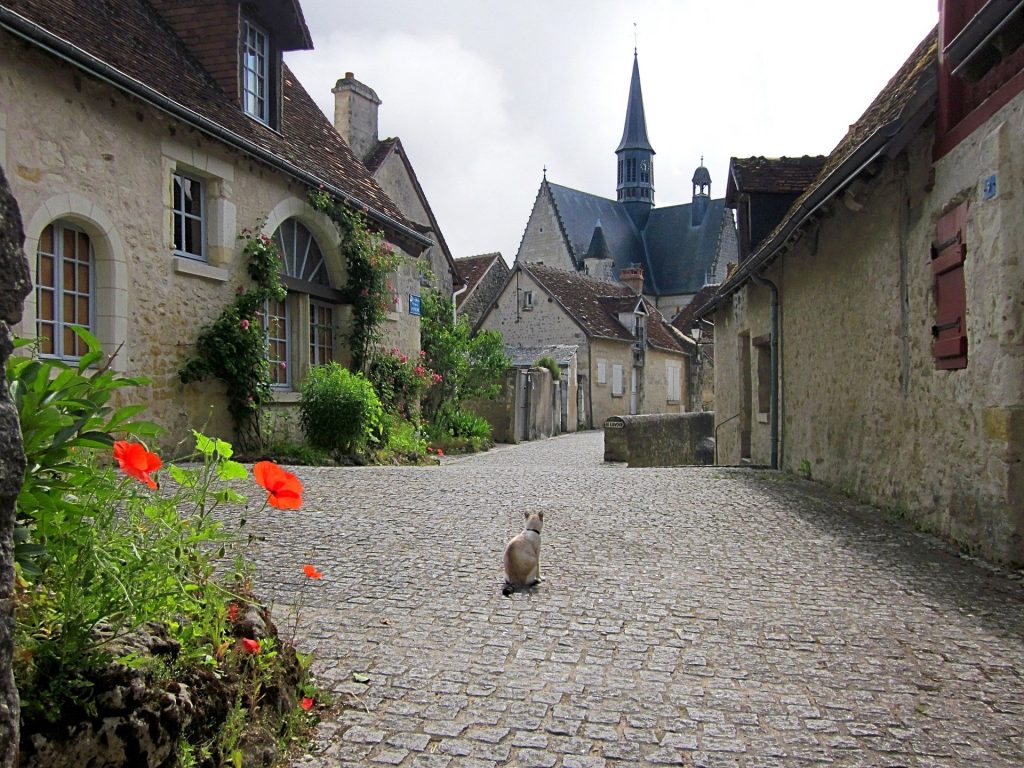 Chat assis au milieu d'une ruelle pavée du village de Montrésor